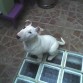 3 meses en el patio